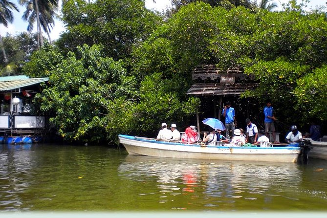 Boat Ride on the Madu River